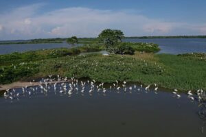 Comunicado-26_239-1-1024x683