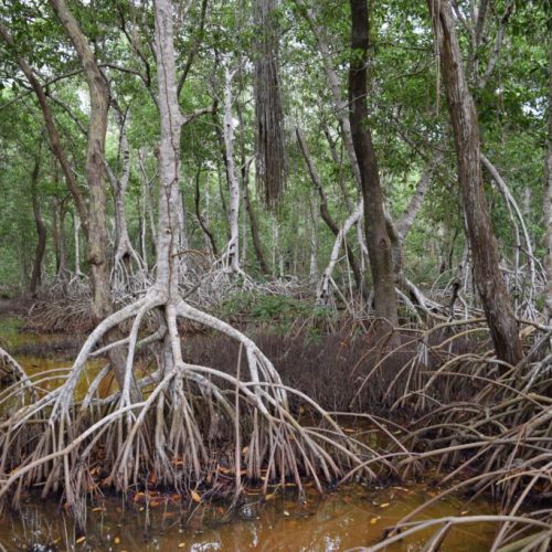 Comunicado-26_239-3-1024x683